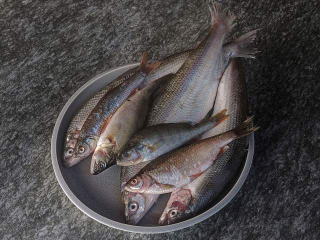 Plat Restaurant Gastronomique Hauteluce Les Saisies en Savoie La Ferme du Chozal